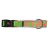 COLLAR X-TRM NEON FLASH VERDE 38mm x 65-75cm