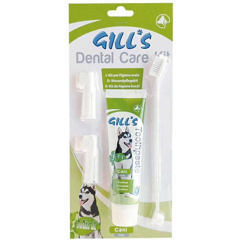 GILL'S KIT DENTAL CARE