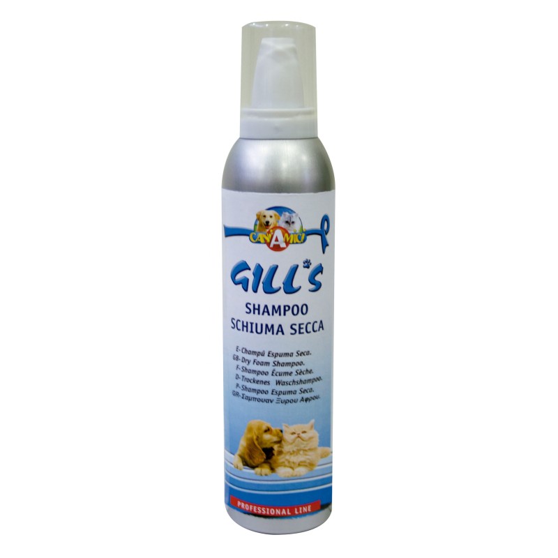 GILL'S CHAMPU ESPUMA SECA 250ML