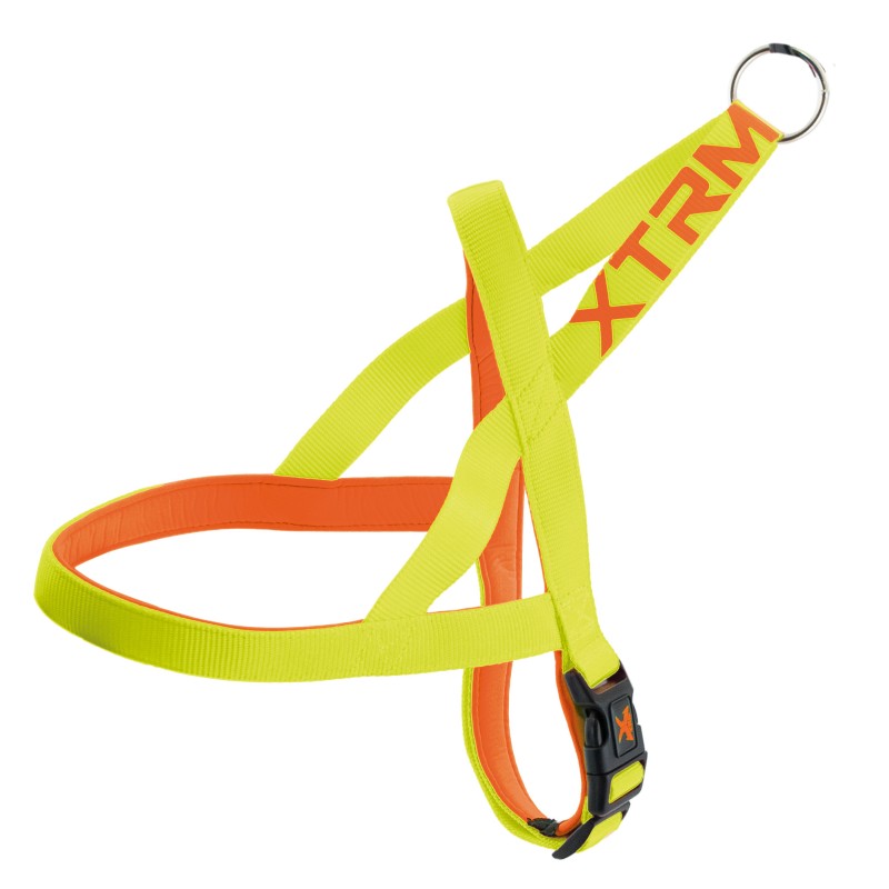 ARNES X-TRM NEON FLASH LIMON 25mm x 70-80cm