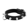 COLLAR THOR 40CM X 15MM NEGRO