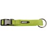 COLLAR NEOPRENO PISTACHO 20mm x 35-45cm