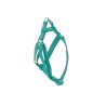 ARNES BASIC AGUAMARINA 20mm x 35-50cm