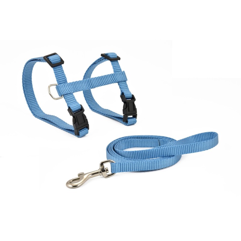 ARNES Y CORREA GATO BASIC AZUL