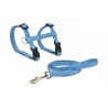 ARNES Y CORREA GATO BASIC AZUL