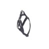 ARNES BASIC NEGRO 25mm x 45-60cm