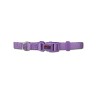 COLLAR BASIC LILA 20mm x 40-55cm