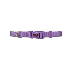 COLLAR BASIC LILA 25mm x 48-70cm