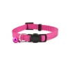 COLLAR GATO BASIC FUCSIA 10mmX22-33cm