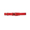 COLLAR BASIC ROJO 20mm x 40-55cm