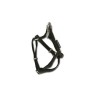 ARNES MAC LEATHER NEGRO 20mm x 50-75cm