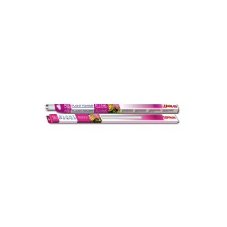 FLUORESCENTE PLANT POWER T8 36W.