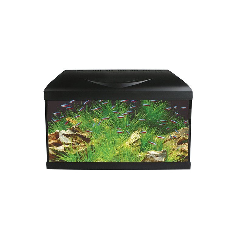 POSEIDON RIVIERA BASIC 60 LED