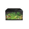POSEIDON RIVIERA BASIC 60 LED