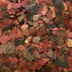 AMTRA PRO FLAKE 1000ml tropical escama NS