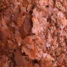 AMTRA PRO COLOR FLAKE 100ml NS