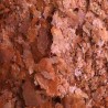 AMTRA PRO COLOR FLAKE 250ml (tropical escama)