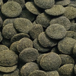 AMTRA PRO PLECO TABS 100ml (peces fondo-lolicanidos)  D