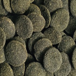 AMTRA PRO PLECO TABS 250ml (peces fondo-lolicaridos)