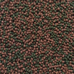 AMTRA PRO ORANDA GRAN 100ml (agua fria pellet) (6)