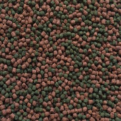 AMTRA PRO ORANDA GRAN 250ml (agua fria pellet)
