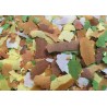 AMTRA PRO POND FLAKE 1000ml (estanque escama)