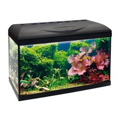 POSEIDON RIVIERA BASIC 60 LED