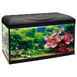 POSEIDON RIVIERA BASIC 80 LED (1 barra) NS