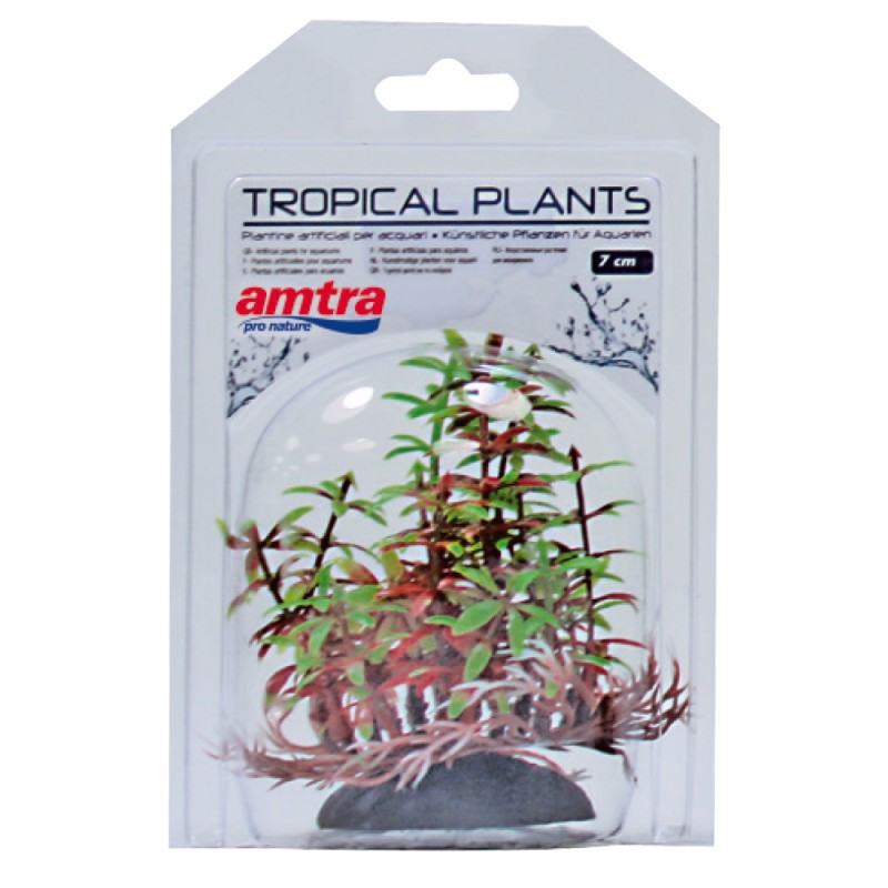 TROPICAL PLANT 7cm.