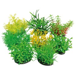 TROPICAL PLANT 7cm.