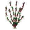 PLANTA PLASTICO FLORA BICOLOUR PEQUEÑA