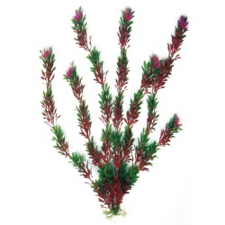 PLANTA PLASTICO FLORA BICOLOUR MEDIANA