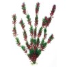 PLANTA PLASTICO FLORA BICOLOUR MEDIANA