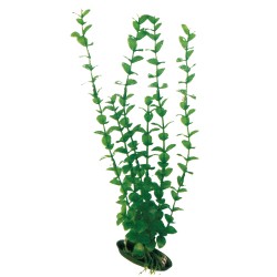 PLANTA PLASTICO ROTALA PEQUEÑA