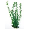 PLANTA PLASTICO ROTALA GRANDE