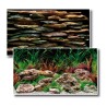 FONDO DOBLE 13 - ESCAPE - 45cm x 15m