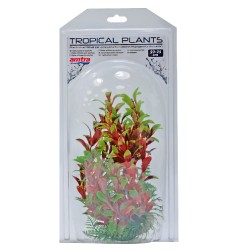 TROPICAL PLANT 22-25cm.