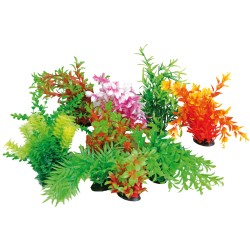 TROPICAL PLANT 22-25cm.