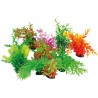 TROPICAL PLANT 22-25cm.
