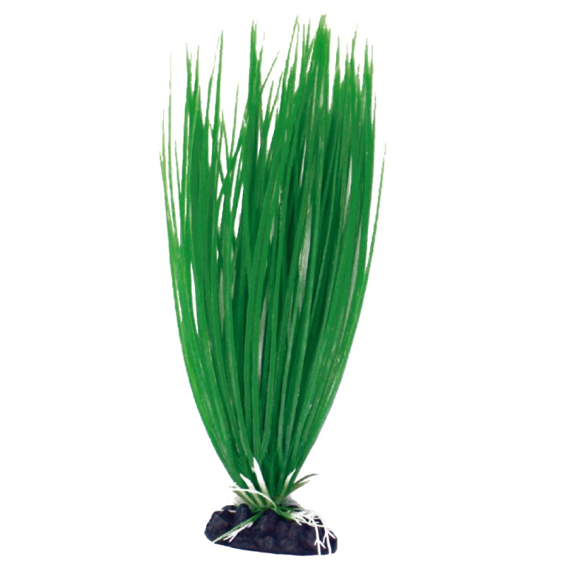 PLANTA PLASTICO ACORUS PEQUEÑA