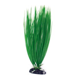 PLANTA PLASTICO ACORUS MEDIANA