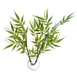 BETTA PLANT BAMBOO