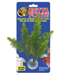 BETTA PLANT SALVIA