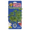 BETTA PLANT PAPAYA