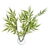 BETTA PLANT BAMBOO