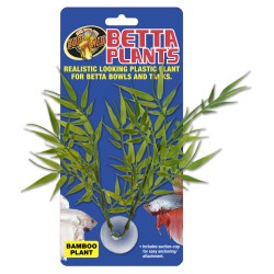 BETTA PLANT BAMBOO