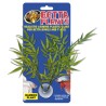 BETTA PLANT BAMBOO
