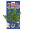 BETTA PLANT SALVIA