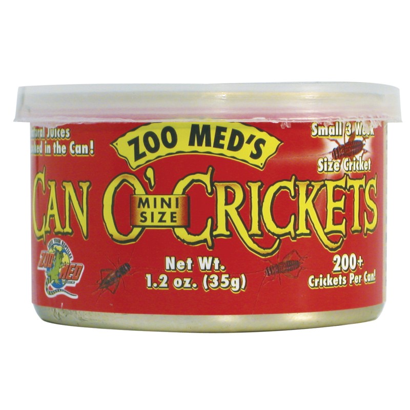 CAN O CRICKETS MINI (200  x LATA) (MINI GRILLOS)