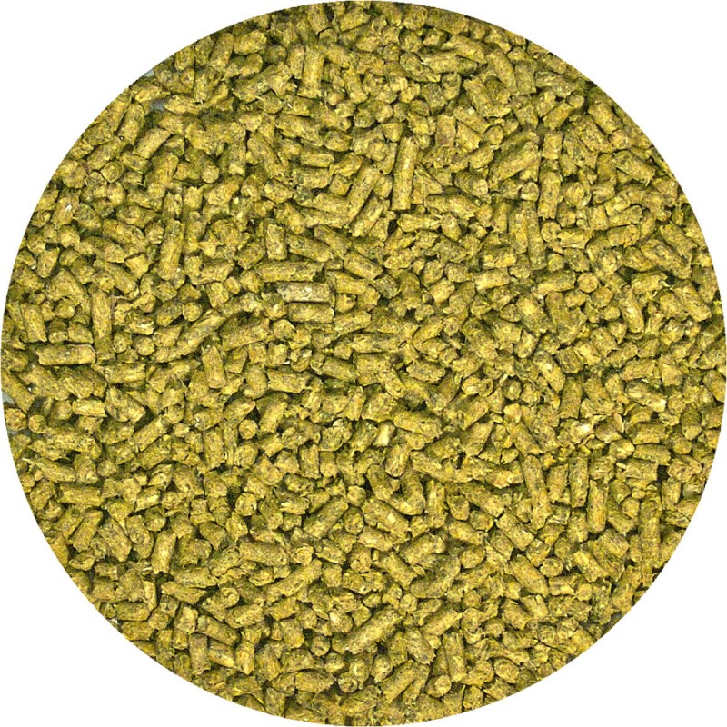 DRAGON BARBUDO JOVEN PELLET SEMI-HUMEDO 283GR.